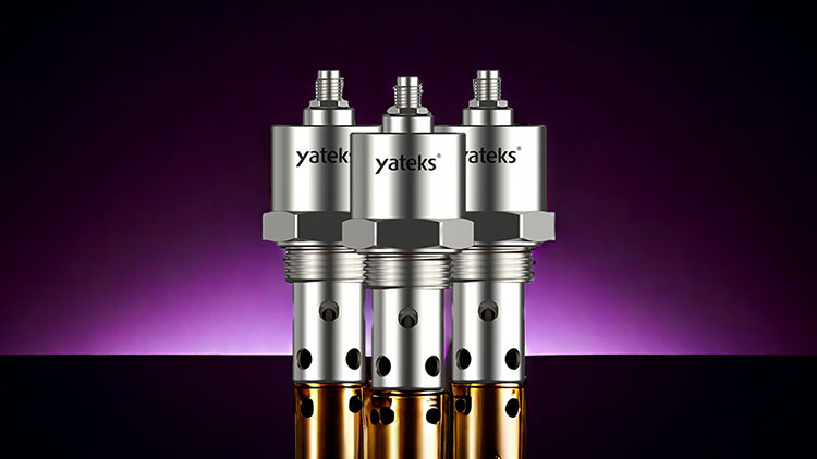 1716273098357359.jpg 2.jpg