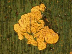 油液監(jiān)測(cè)技術(shù)為設(shè)備故障索賠提供依據(jù)顯神威